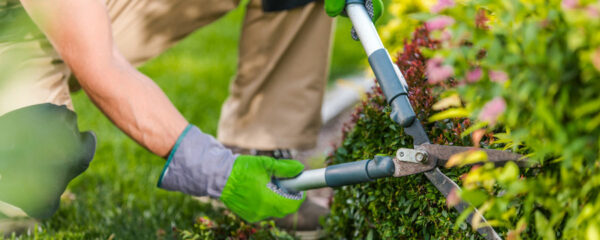 entretien de jardin