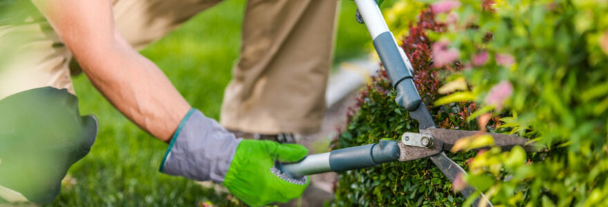 entretien de jardin