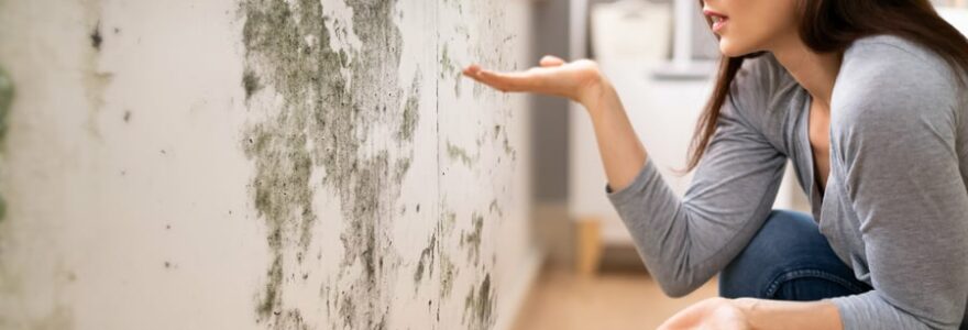 Humidité dans les murs