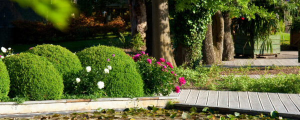 aménagement de jardin