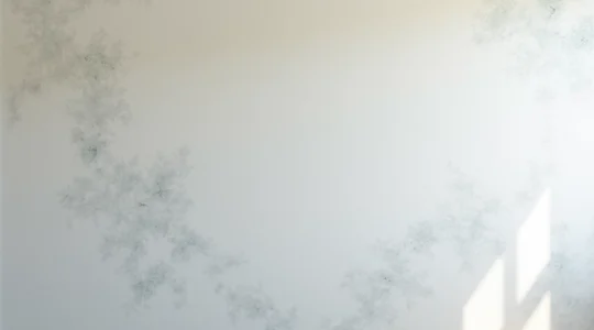 comment-enlever-des-traces-de-patafix-sur-un-mur-sans-abimer-la-peinture